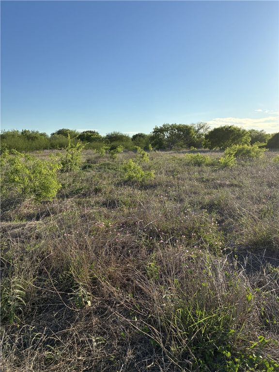 13029 County Road 1266 & 2567, Sinton, TX 78387 — photo 2