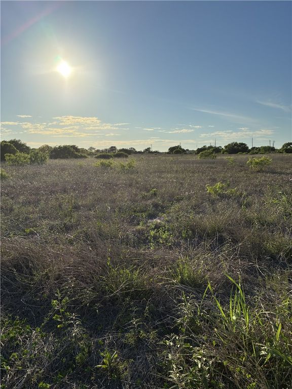 13029 County Road 1266 & 2567, Sinton, TX 78387 — photo 5