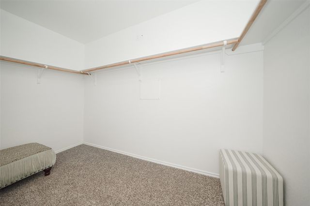 2407 Divot Lane, Navasota, TX 77868