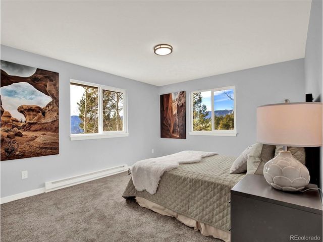 53 Deerhaven Dr, Bailey, CO 80421