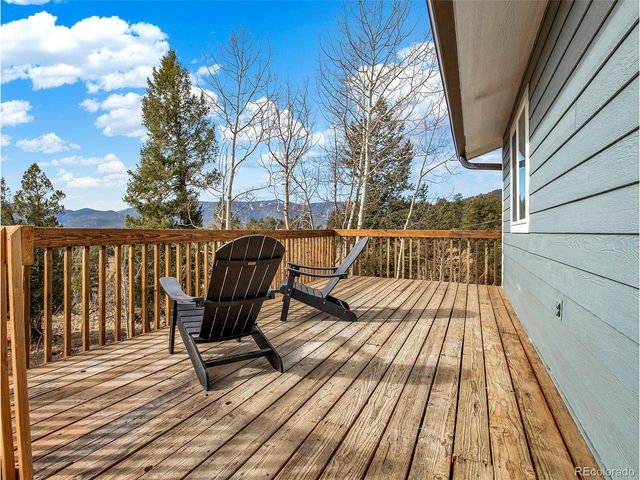53 Deerhaven Dr, Bailey, CO 80421