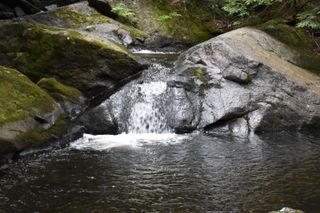 Saunders Hill Road, Wentworth, NH 03282