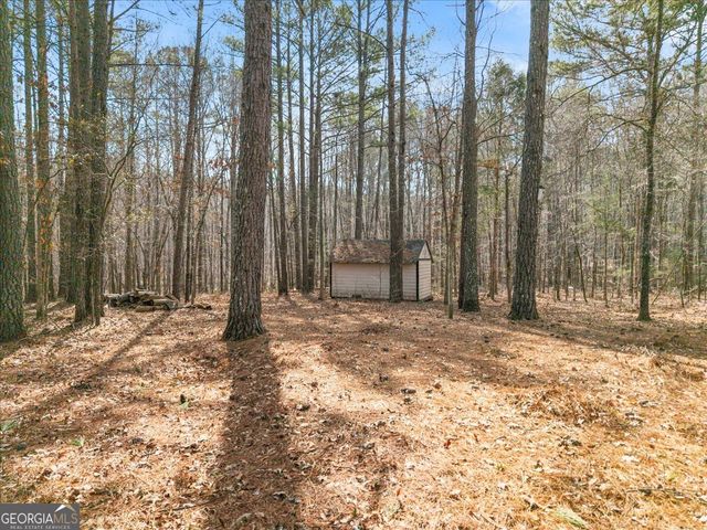 1022 Miss Amber Way, Locust Grove, GA 30248