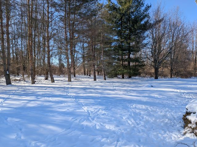 4464 Fisher Estates Lane, Bruce, MI 48065