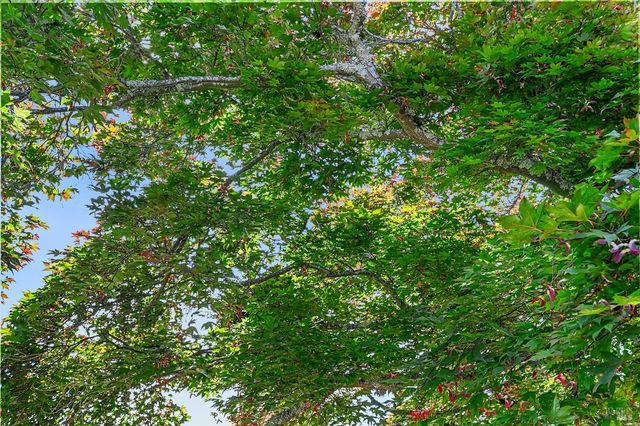 241 Belhaven Cir, Santa Rosa, CA 95409