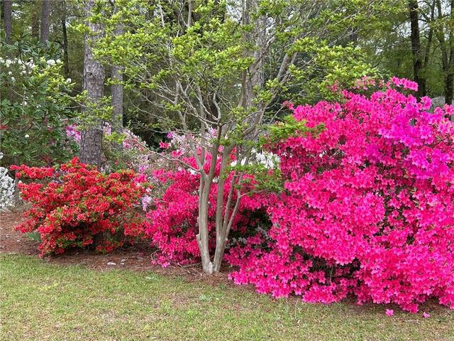 12 Rosalyn Road, Georgetown, GA 39854