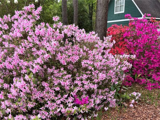 12 Rosalyn Road, Georgetown, GA 39854