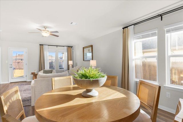 17701 Owl Tree RD, Manor, TX 78653