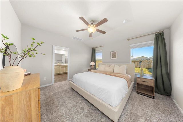 17701 Owl Tree RD, Manor, TX 78653