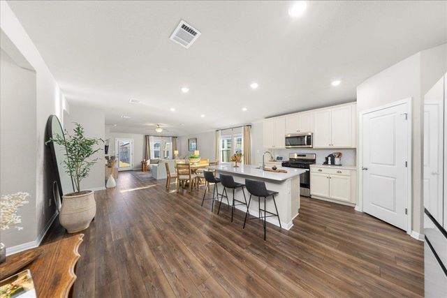 17701 Owl Tree RD, Manor, TX 78653