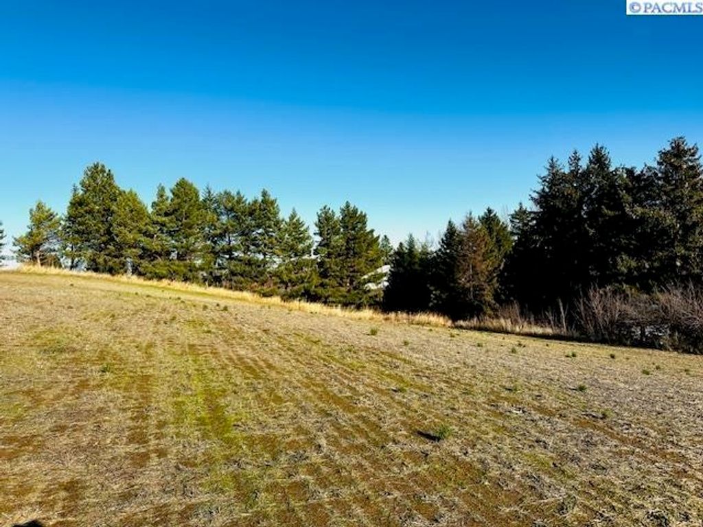TBD 10th St, Garfield, WA 99130 photo 12