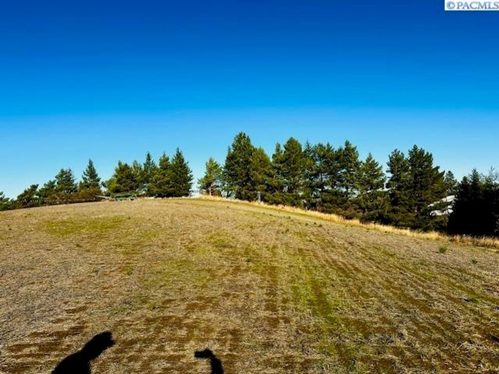 TBD 10th St, Garfield, WA 99130 photo 13