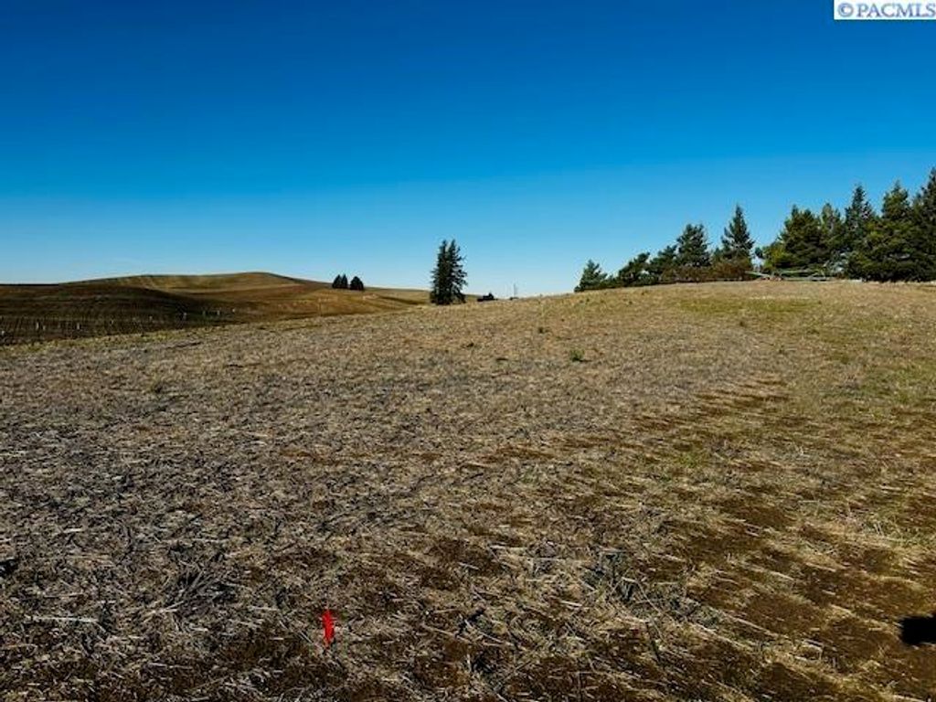 TBD 10th St, Garfield, WA 99130 photo 14