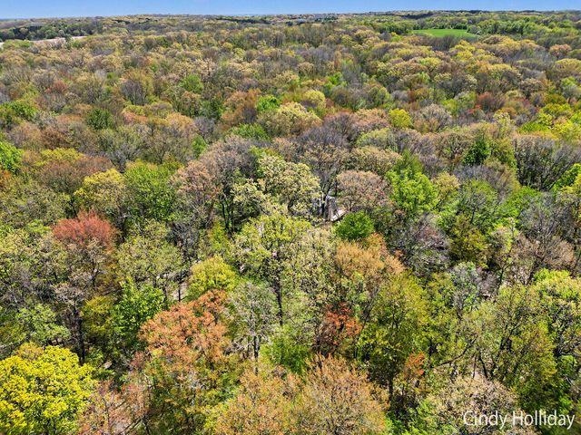 7550 Woodsy End Street, Middleville, MI 49333