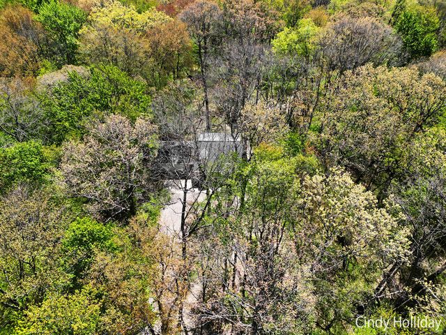 7550 Woodsy End Street, Middleville, MI 49333