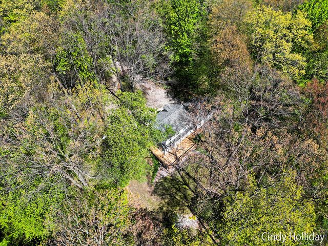 7550 Woodsy End Street, Middleville, MI 49333