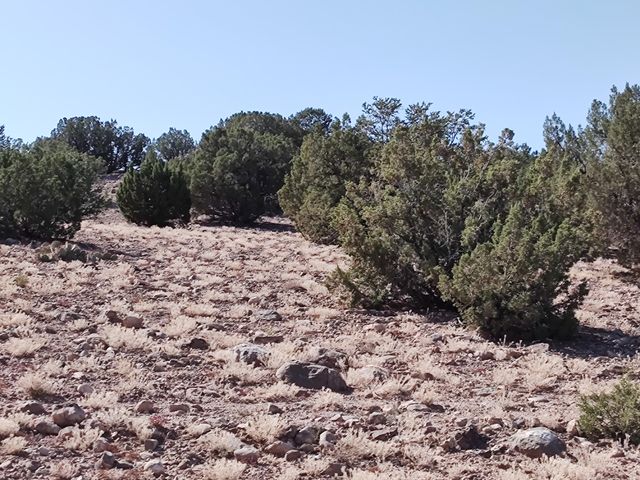 3 Folsom Point, Placitas, NM 87043