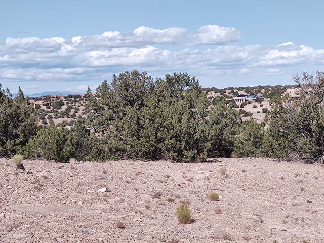 3 Folsom Point, Placitas, NM 87043