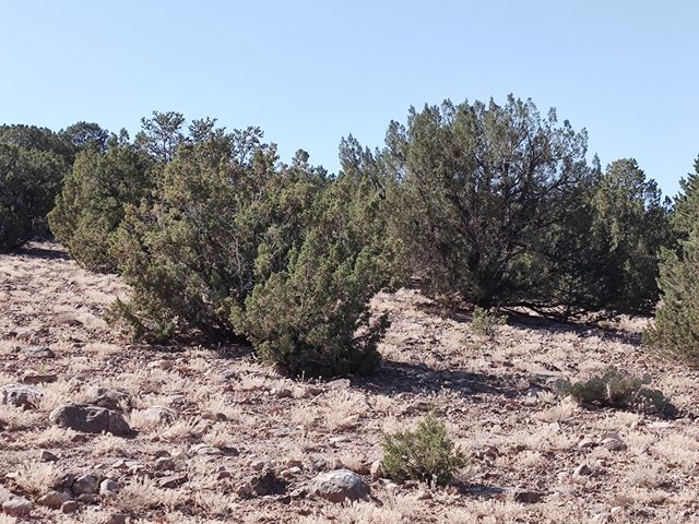 3 Folsom Point, Placitas, NM 87043