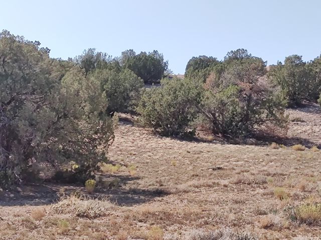 3 Folsom Point, Placitas, NM 87043