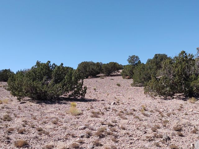 3 Folsom Point, Placitas, NM 87043