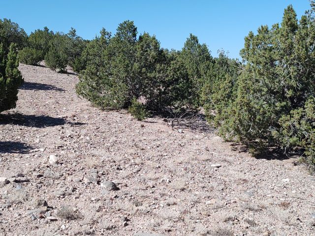 3 Folsom Point, Placitas, NM 87043