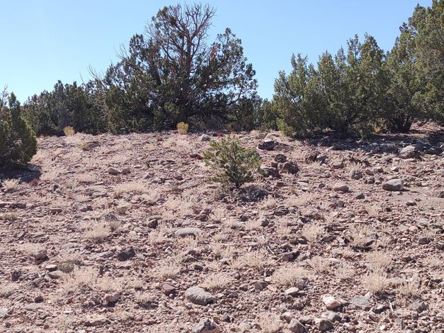 3 Folsom Point, Placitas, NM 87043