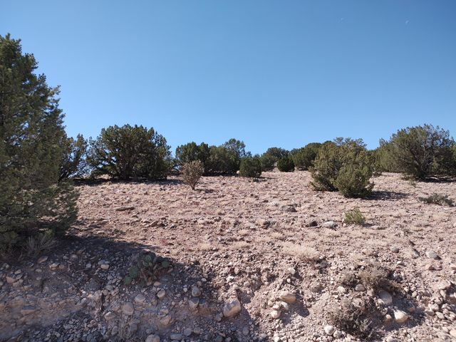 3 Folsom Point, Placitas, NM 87043