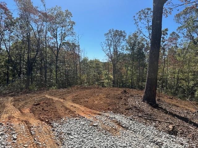 3.71 Yancy Drive, Dawsonville, GA 30534