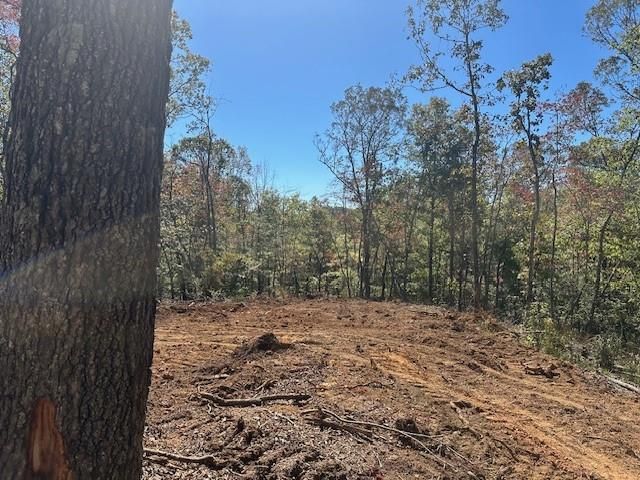 3.71 Yancy Drive, Dawsonville, GA 30534