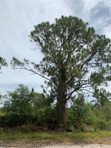 105 Citation Street NW, Lake Placid, FL 33852