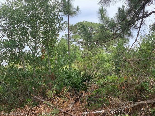 105 Citation Street NW, Lake Placid, FL 33852