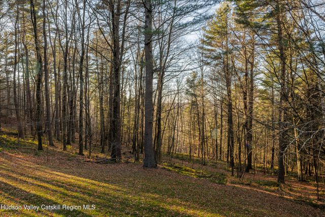 92 Cunningham Hill Road, Canaan, NY 12029