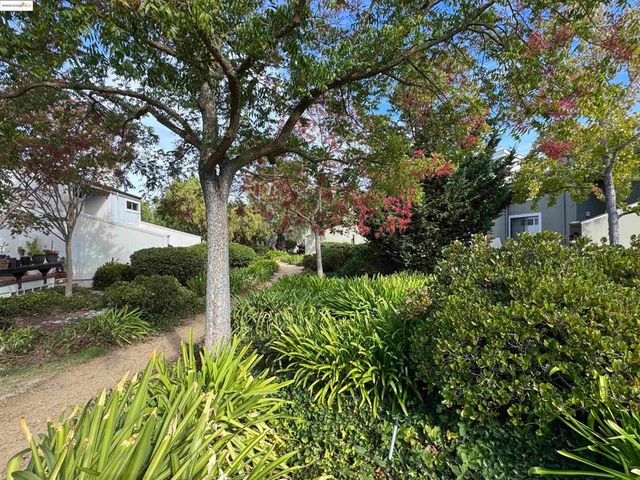 3365 Los Prados St, San Mateo, CA 94403