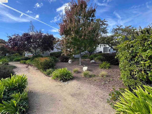 3365 Los Prados St, San Mateo, CA 94403