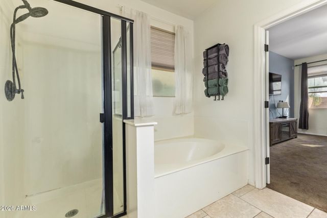 18221 W CARMEN Drive, Surprise, AZ 85388