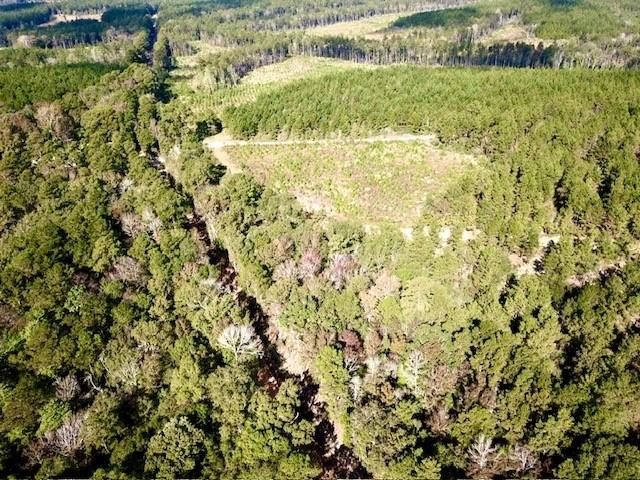 TBD 4.6+/-AC Cr 2310, Woodville, TX 75979