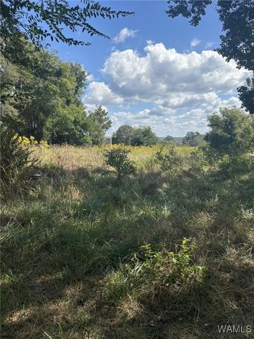 124 10th St NW, Fayette, AL 35555