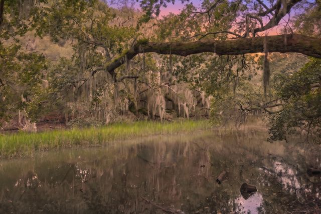 1759 Crystal Lake Drive, Charleston, SC 29412