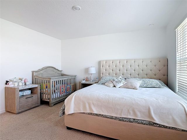 1146 CALICO POINTE CIRCLE, Groveland, FL 34736