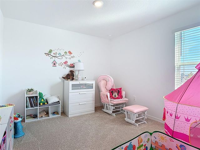 1146 CALICO POINTE CIRCLE, Groveland, FL 34736