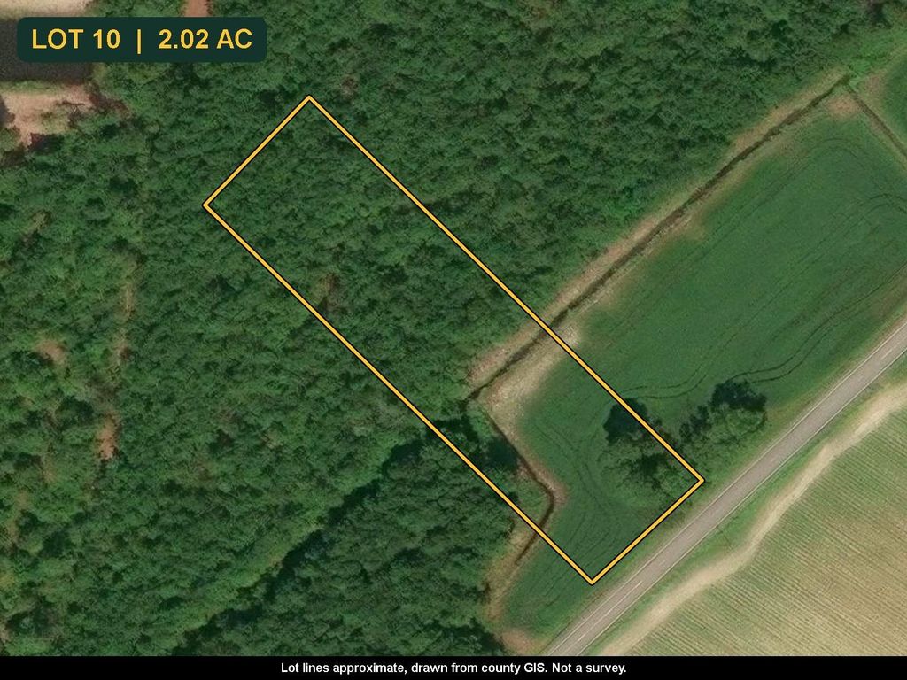 TBD N Nichols Hwy., Nichols, SC 29581 — photo 2