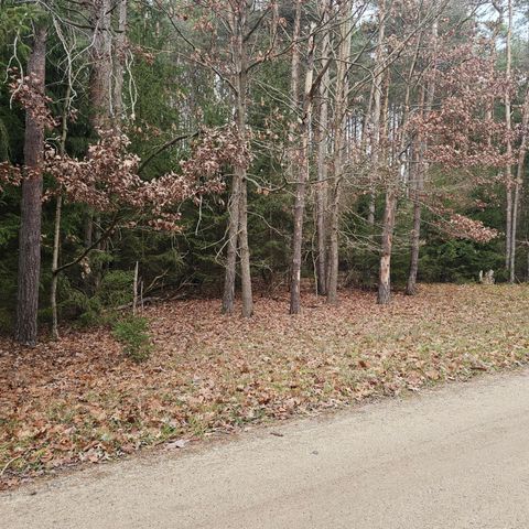 9138 White Pine Drive, Morton Twp, MI 49346