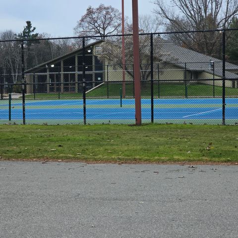 9138 White Pine Drive, Morton Twp, MI 49346