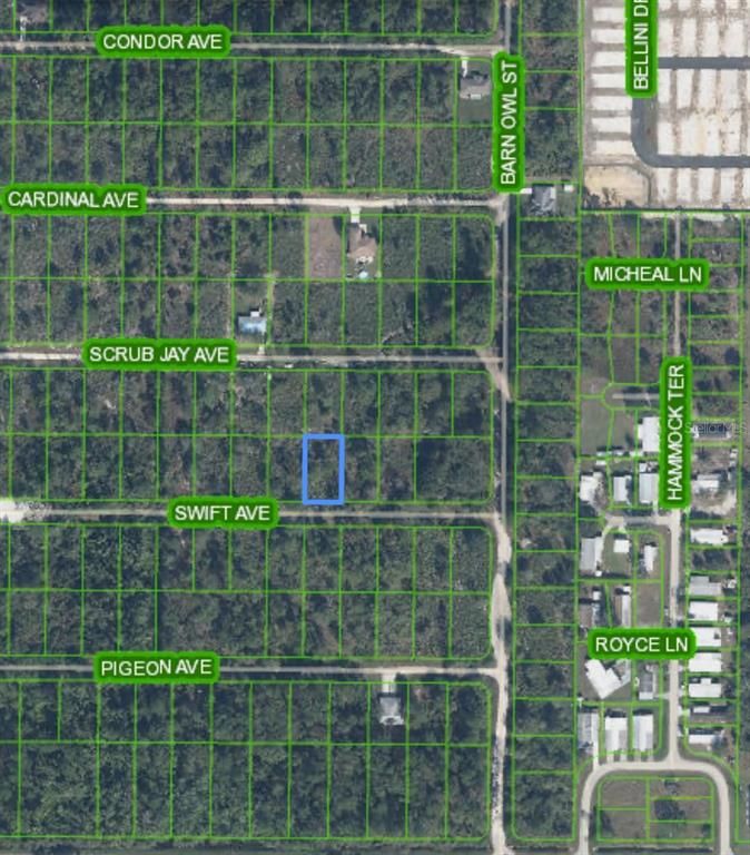 SWIFT AVENUE, Sebring, FL 33870