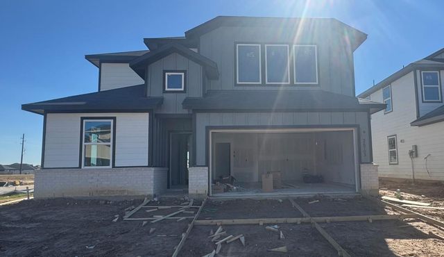 26703 Plain Glee Street, Hockley, TX 77447