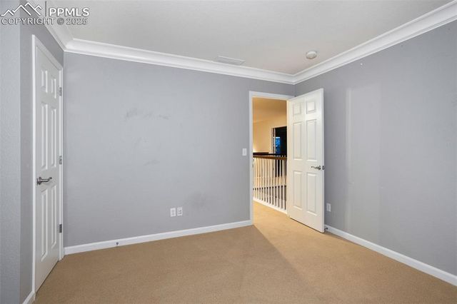 3465 Fantasy Place, Castle Rock, CO 80109