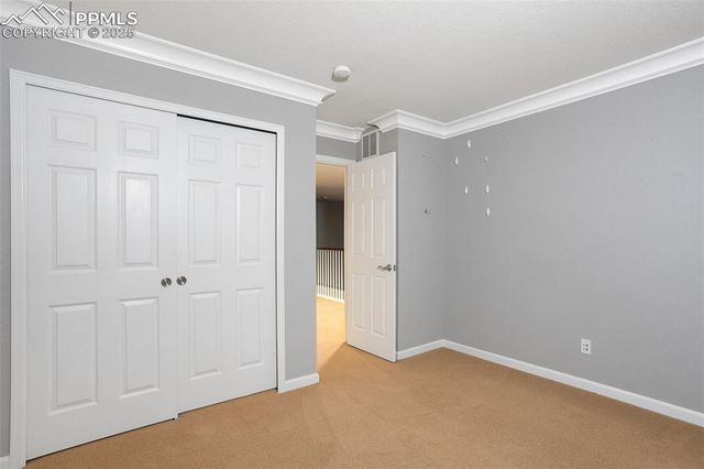 3465 Fantasy Place, Castle Rock, CO 80109