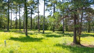 205/225 Stillwater Lane, Gadsden, FL 32333