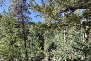 000 Silver Dollar Lode, Georgetown, CO 80444